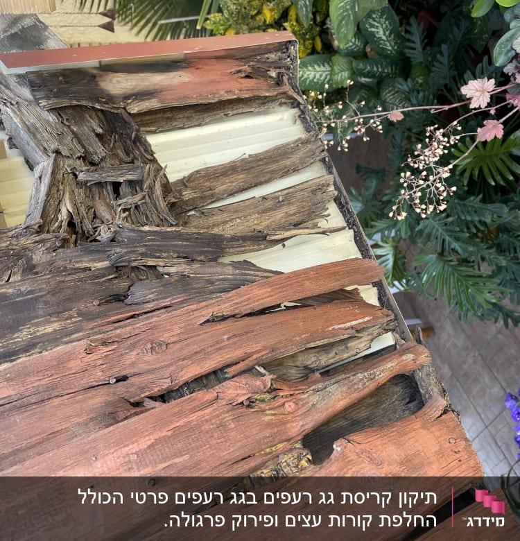 גג עץ רקוב עם קרשים שבורים ומתקלפים